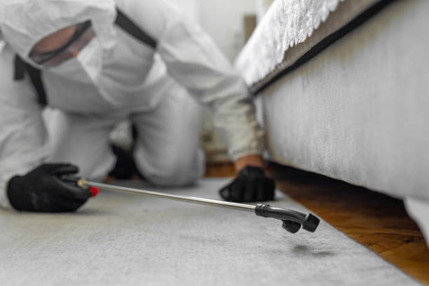Professional Cockroach Control technician working in East Rockingham, NC