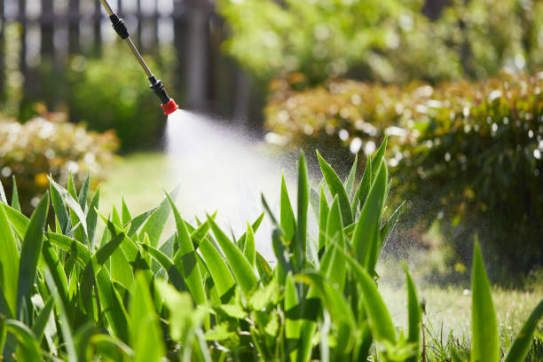 24/7 Emergency Cockroach Control experts in East Rockingham, NC